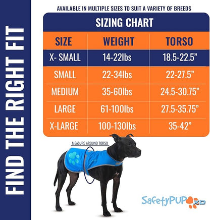 SafetyPUP XD Dog Reflective Vest – Hi-Vis Fluorescent Visibility That Helps to Safeguard Your Pet On/Off Leash in Urban & Rural Areas (Blue, X-Small)