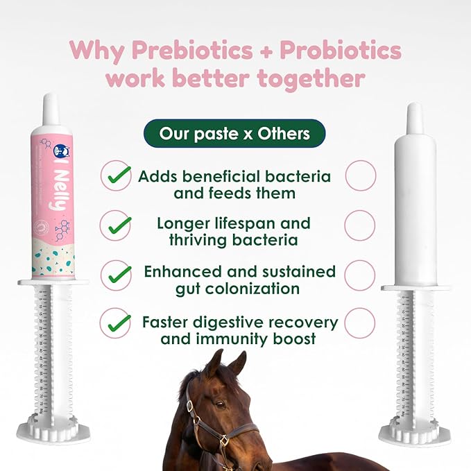 Horse Pre & Probiotic Paste (30 Pack, 80cc Each), Horse Paste Pre and Probiotics +Vitamins & Minerals- 4 Strains and 8 Billion CFU per Serving- Immune and Gastro Health Support for Equines