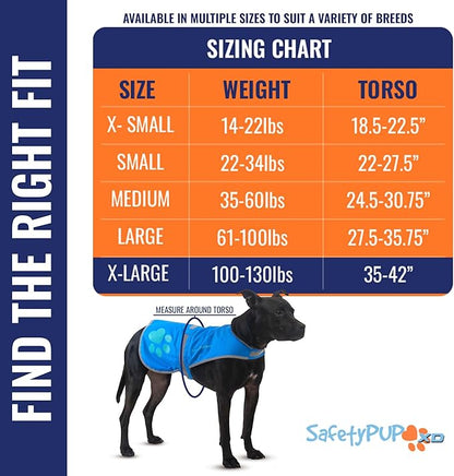 SafetyPUP XD Dog Reflective Vest – Hi-Vis Fluorescent Visibility That Helps to Safeguard Your Pet On/Off Leash in Urban & Rural Areas (Blue, X-Large)