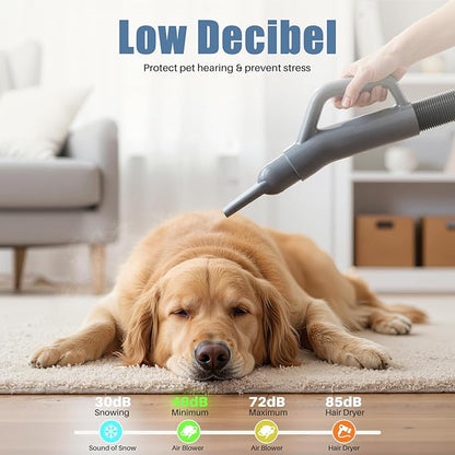DUMOS Dog Blow Dryer Grooming Vacuum Kit, Cat Dog Hair Dryer with Adjustable Wind Speed & Heater Temperature, Cool-Warm-Hot Cycle Mode, 4 Nozzles, 6.5FT Cord for Low Noise Pet Hair Remover - Grey
