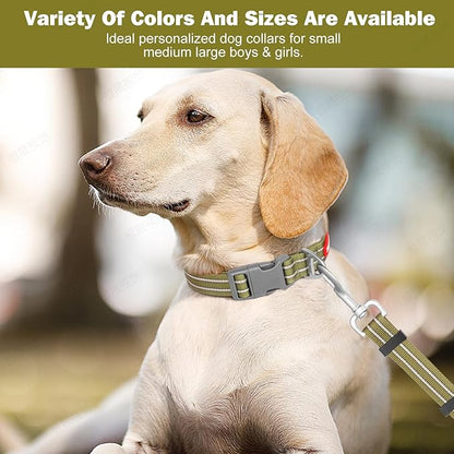 Tacwild Adjustable Reflective Dog Collar, Puppy Collar with D-Ring Buckle - Durable Safety Nylon Dog Collars for Small Dogs （Green-S）