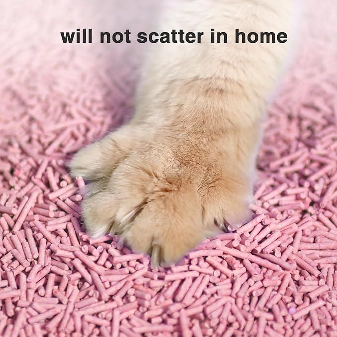 DI BI GRAMAS Cat Litter 12LB/2 Packs Dust-Free Clumping Tofu Cat Litter Quickly Absorb Odors Toilet Can Flush Into The Toilet Pure Natural tofu cat Litter (Peach)