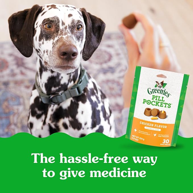 Greenies Pill Pockets for Dogs, Large Size Soft Dog Treats, Chicken Flavor, (6) 7.9 oz. Pouches