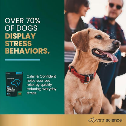 VetriScience Calm & Confident Chews, Composure Clinically Tested Calming and Anxiety Supplement for Dogs, Reduce Stress and Fear, Ideal for Thunderstorms, Fireworks and Travel, Chicken, 60 Count