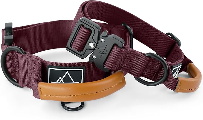 Made to ROAM Premium Explorer Control Collar - Adjustable Heavy Duty Nylon Dog Collar with Quick-Release Metal Buckle and Handle (Vermont Weekends, Control Size 2.5)