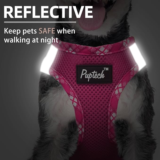 PUPTECK Dog Harness and Leash Set for Small Medium Dogs No Pull Step-in Soft Mesh Puppy Cat Vest Harnesses Reflective at Night, Fuchsia, L