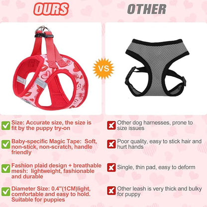 BEAUTYZOO Step in Dog Harness and Leash Set,Reflective Dog Harness No Pull No Choke Puppy Harness for Small Medium Large Dogs Cats,Soft Padded Mesh Vest Harnesses for Girl and Boy,Valentine's Day M