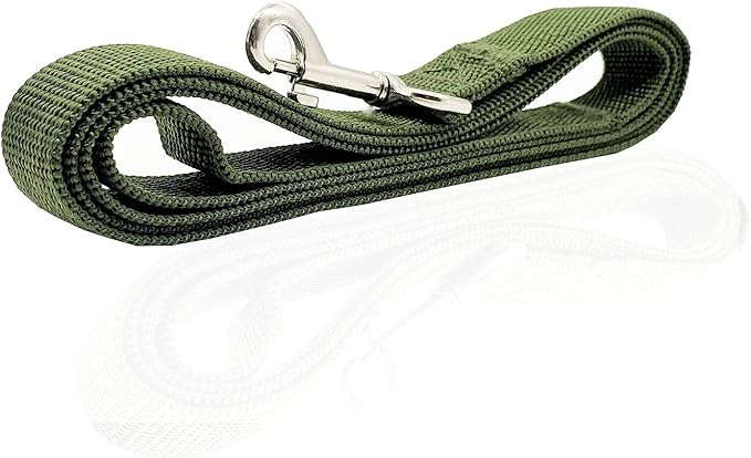 Nylon Dog Leash 10 Feet Long, Walking Training Dog Leashes for Medium Large Dogs, 1 Inch Wide (Green)
