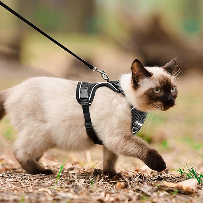 Cat Harness, Cat Harness and Leash for Walking, Adjusted in Four Directions and Breathable Cat Harness for Anti Escape That can be Fitted and Positioned, Reflective Strips Harness, Black, S