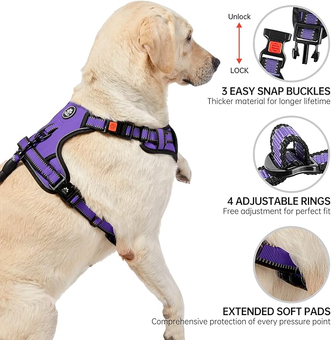 NESTROAD No Pull Dog Harness,Adjustable Oxford Dog Vest Harness with Leash,Reflective No-Choke Pet Harness with Easy Control Soft Handle for Small Medium Dogs(Medium,Purple)
