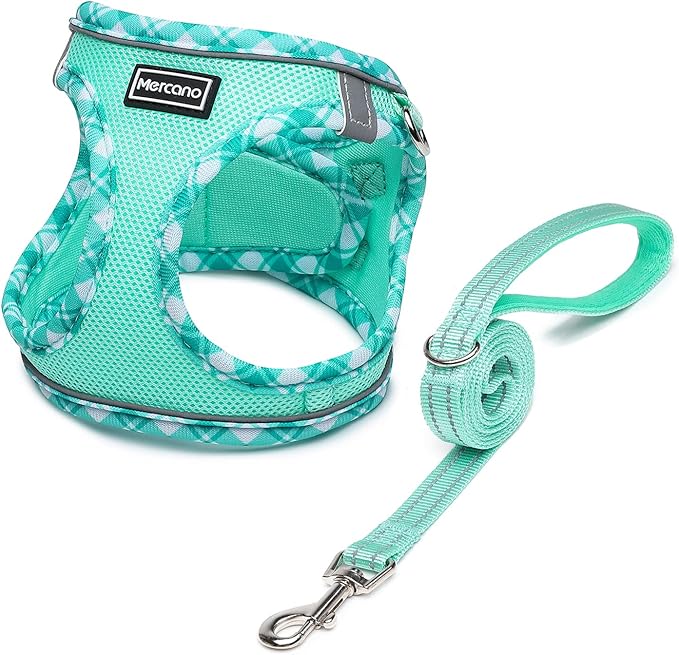 Mercano Soft Mesh Dog Harness and Leash Set, No-Chock Step-in Reflective Breathable Lightweight Easy Walk Vest Harnesses with Safety Buckle for Small Dogs, Cats (Light Green, L)