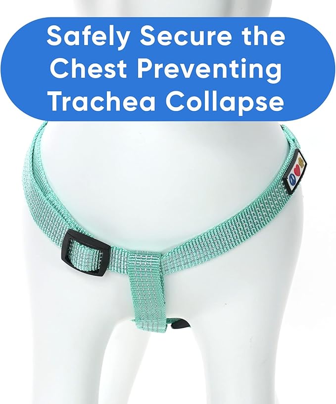 Pawtitas Reflective Step-in Dog Harness – Adjustable No-Pull Vest for Puppies to Seniors, Safe & Comfortable, M Teal