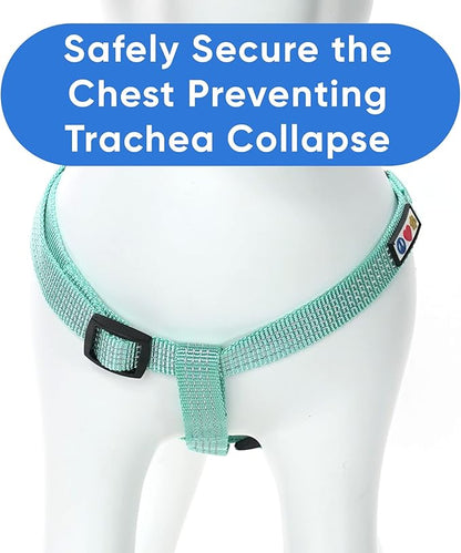 Pawtitas Reflective Step-in Dog Harness – Adjustable No-Pull Vest for Puppies to Seniors, Safe & Comfortable, M Teal