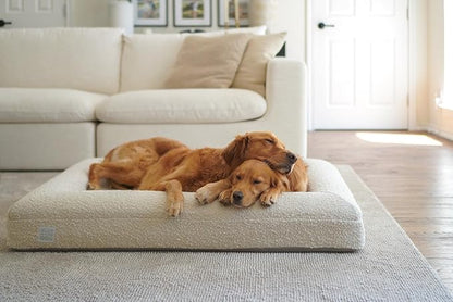 Bluewater Dog Luxury Boucle Orthopedic Memory Foam Dog Bed with Waterproof Liner and Machine Washable Cover with YKK Zippers (Large, 45" L x 36" W x 7" Th, Cloud)