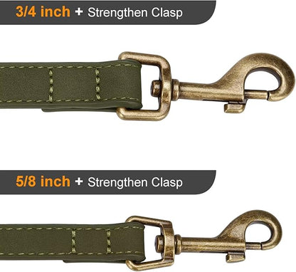 Didog Stylish PU Leather Dog Leash for Medium Dogs, Easy to Clean 5ft Dog Leashes for Large Dogs, Fashionable and Elegant for Walking, Running and Training,Dark Green, M
