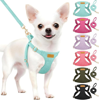 SlowTon Dog Harness Small Sized Dog - Soft XXS Dog Harness and Leash Set No Pull No Chock, Adjustable Lightweight Puppy Harness for XS Small Medium Dogs Cats (Solid Light Blue, XXS)