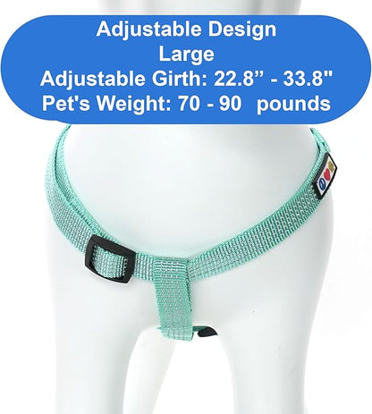 Pawtitas Reflective Step-in Dog Harness – Adjustable No-Pull Vest for Puppies to Seniors, Safe & Comfortable, L Teal