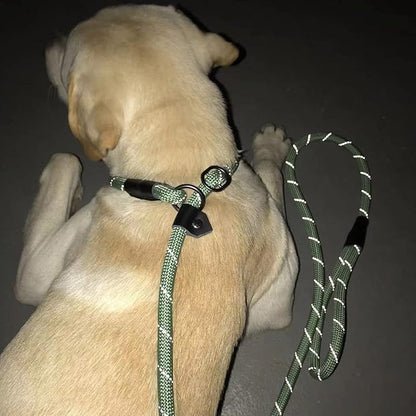 Reflective Slip Leads for Dogs 6FT, Slip Lead Dog Leash, Slip On Training Leash