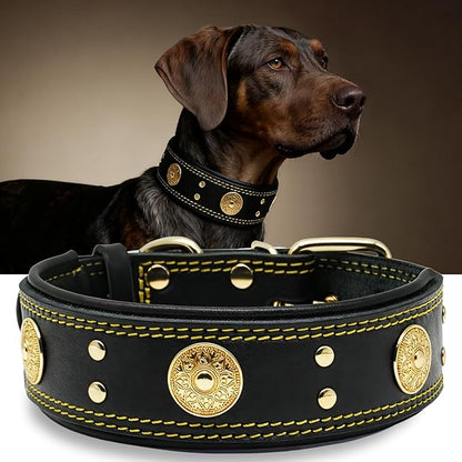 Leather Dog Collar, 2 inches Wide Heavy Duty Genuine Leather Collars, Handmade, Soft, and Luxury, Eye-catching Best Choice for Large and Medium Breed Dogs, Black-Gold 15-19 ins