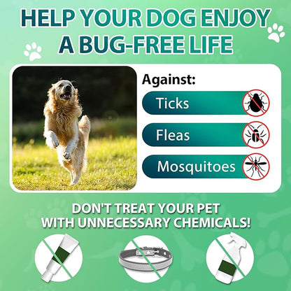 Carmelie Flea and Tick Prevention for Dogs Chewables - 200 Soft Chews Natural Dog Flea and Tick Chewables, Oral Flea Supplement for Dogs, Puppy Flea Support - All Breeds & Ages - Chicken Flavor