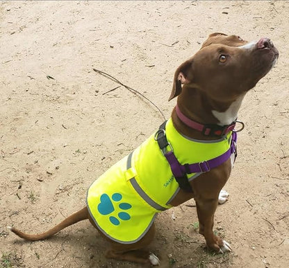 SafetyPUP XD Dog Reflective Vest – Hi-Vis Fluorescent Visibility That Helps to Safeguard Your Pet On/Off Leash in Urban & Rural Areas (Yellow, Large)