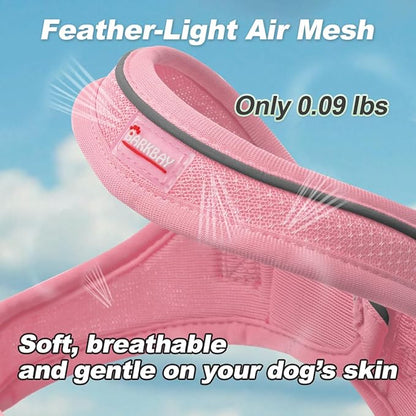 Dog Harness and Leash Set,Step in Small Sized Dog Harness,Soft Mesh,No-Chock,Reflective Adjustable,Secure with Hook & Loop Fastener,Puppy Vest for Small,Medium Dogs(Baby Pink,L)