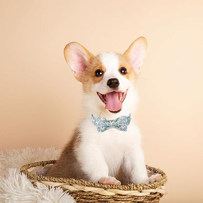 Dog Collar with Bow Tie, Easter Eggs Bowtie Dog Collar with Safety Metal Buckle, Cute Boy Girl Dog Bunny Collar for Small Dogs