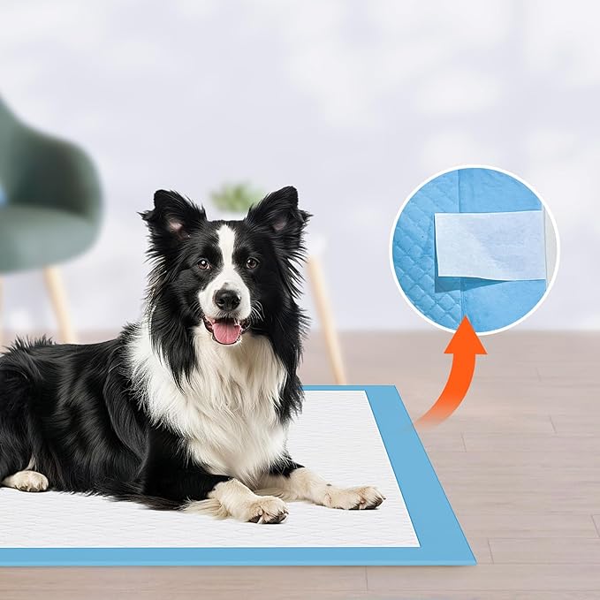 JollyMate 28"x34" Dog Pee Pads Extra Large, 100 Pack X-Large Super Absorbent Pet Pee Pads with Adhesive Tabs, 6 Layers Thick Leak-Proof Potty Pads for Dogs and Puppies