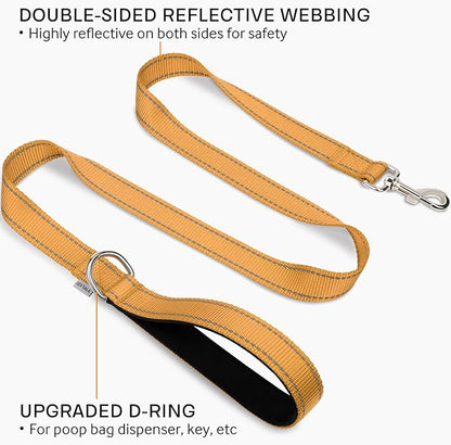 Joytale Double-Sided Reflective Dog Leash, 4 FT, Padded Handle Nylon Heavy Duty Leashes for Small & Medium Dogs Walking, Khaki