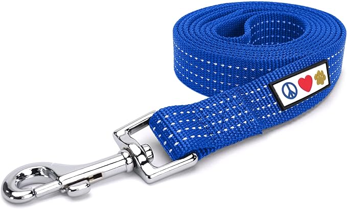 Pawtitas Blue Dog Leash 6 ft M/L Reflective Durable Lightweight Dog Lead for Medium or Large Dogs and Puppies