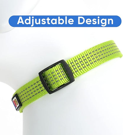 Pawtitas Reflective Dog Collar Adjustable Dog Collars for Medium Dogs Puppy Collar Medium Dog Collar Green Dog Collar