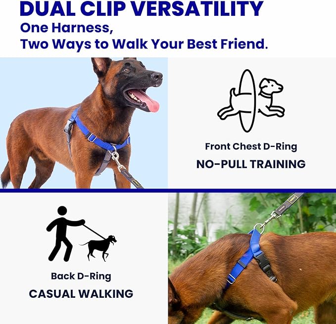Freedom No Pull Dog Harness, Easy Walker, Stop Pulling with Two Stainless D-Rings, Comfortable, Sewn-in Instructions Tags for Easy Use, for Small Dogs Weight 20-30 lbs (Black, Small)