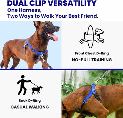 Freedom No Pull Dog Harness, Easy Walker, Stop Pulling with Two Stainless D-Rings, Comfortable, Sewn-in Instructions Tags for Easy Use, for Small Dogs Weight 20-30 lbs (Black, Small)