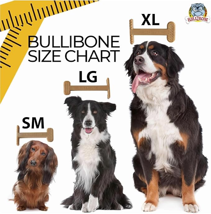 Bullibone Nylon Dog Chew Toy for Aggressive Chewers - Dental Hygiene Bone with Beef Flavor, Durable Tough Chew Toys for Small Dogs, Indestructible Dog Bone - 3 Pack