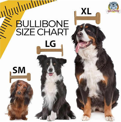 Bullibone Nylon Dog Chew Toy for Aggressive Chewers - Dental Hygiene Bone with Beef Flavor, Durable Tough Chew Toys for Small Dogs, Indestructible Dog Bone - 3 Pack