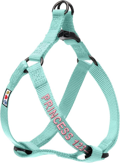 Pawtitas Personalized Dog & Puppy Harness Small Teal Custom ID Tag Adjustable No Pull Vest