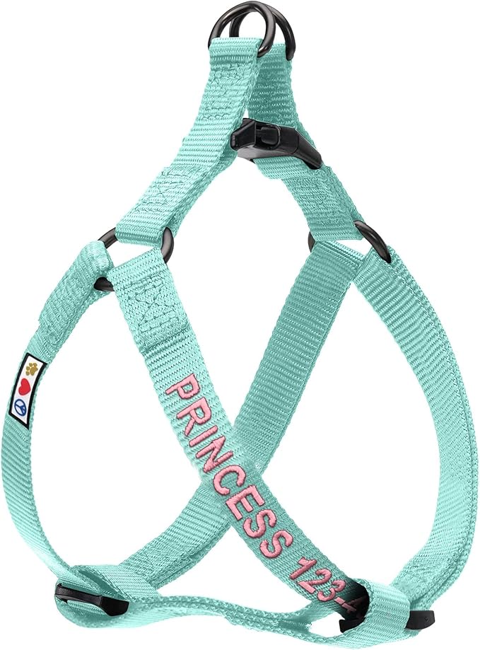 Pawtitas Personalized Dog & Puppy Harness Extra Small Teal Custom ID Tag Adjustable No Pull Vest
