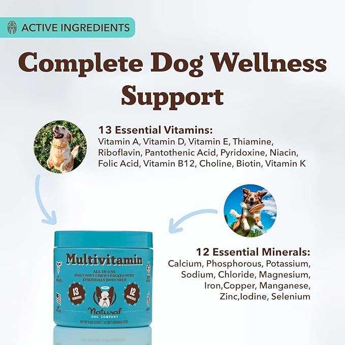 Natural Dog Company 25-in-1 Multivitamin for Dogs – Vet-Formulated Soft Chews for Puppies, Adults & Seniors, Supports Joints, Skin, Coat, Immune & Heart Health, NASC Certified, 90 Count
