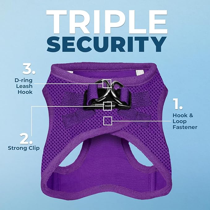 Best Pet Supplies Voyager Step-in Air Harness - All Weather Mesh, Reflective, No Pull Harness for Dogs, Cats - Secure with Hook & Loop Fastener, Buckle, Double D-Rings - Purple, S