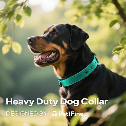 PetiFine Dog Collars for Small Dogs, Neoprene Padded Dog Collar, Reflective Heavy Duty Pet Collars with Durable Metal Belt Buckle for Walking, Teal, S