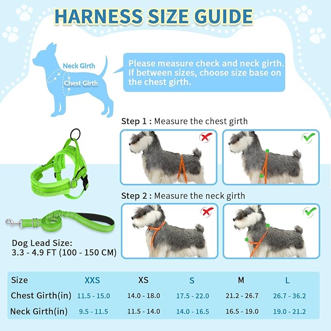 SlowTon No Pull Small Dog Harness and Leash Set, Puppy Soft Vest Harness Neck & Chest Adjustable, Reflective Lightweight Harness & Anti-Twist Pet Lead Combo for Small Medium Dogs(G,XXS)