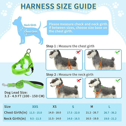 SlowTon No Pull Small Dog Harness and Leash Set, Puppy Soft Vest Harness Neck & Chest Adjustable, Reflective Lightweight Harness & Anti-Twist Pet Lead Combo for Small Medium Dogs(G,XXS)