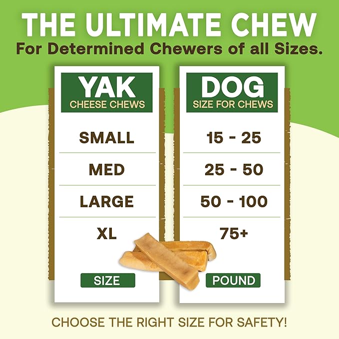 EcoKind Himalayan Yak Cheese Dog Chew | Great for Dogs, Treat for Dogs, Keeps Dog Busy & Enjoying, Indoors & Outdoor Use (8 Small Sticks)