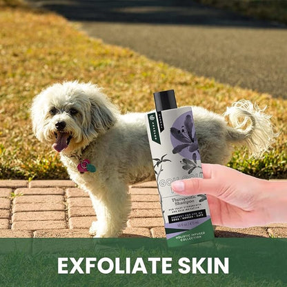 Gou Gou Pets Holistic Natural Anti-Fungal Shampoo for Dogs, Cats & Horses: Veterinarian Recommended: Relieve Itching & Flaking Skin Caused by Fungal Infections & Skin Conditions - Made in USA - 16 oz