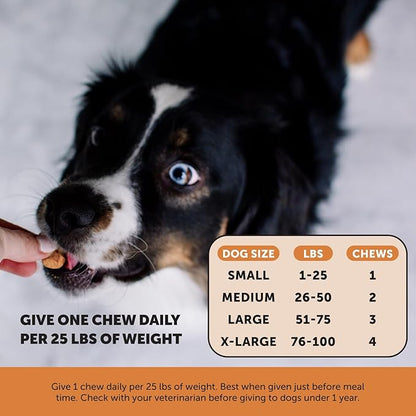 Pet Honesty Hip & Joint Health Max Strength – Dog Joint Support Chews with Glucosamine Chondroitin & Omega-3s – Joint Supplement for Dogs to Support Mobility, Flexibility & Comfort – Bacon (90 ct)