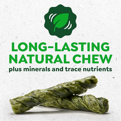 Greenies Occupy Twists Natural Dog Treats Regular Breed Size Chicken Flavor, 8.65 oz. Pack, 6 Count