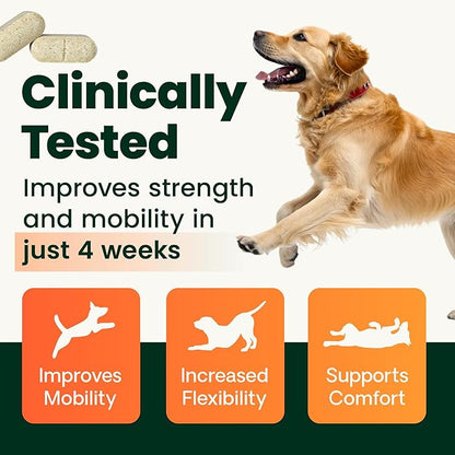 VetriScience Healthy Hip & Joint Chewable Tablets, GlycoFlex Glucosamine and Green-Lipped Mussel Joint Support Supplement for Dogs, Promote Mobility and Protect Joints, Chicken, 120 Count