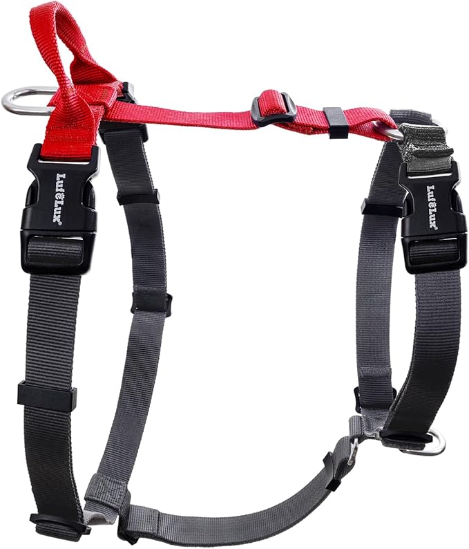 Non-Restrictive Dog Harness, Easy Walk Freedom No Pull Harness, Keep Balance, Neck-Buckle, Six Points Adjustment, 2 Leash Clips for Back and Front Clip (Red/Black, X-Large)