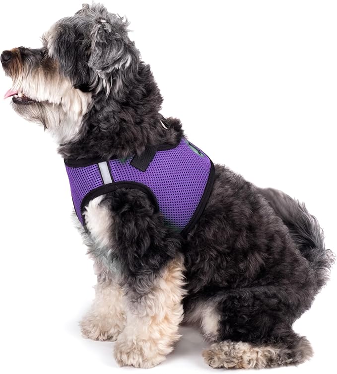 THE WORTHY DOG Step-in Dog Harness for Large Dogs, Comfortable Mesh, Reflective, Strong Hook and Loop Closure, Quick Release Buckle, Purple, X-Large