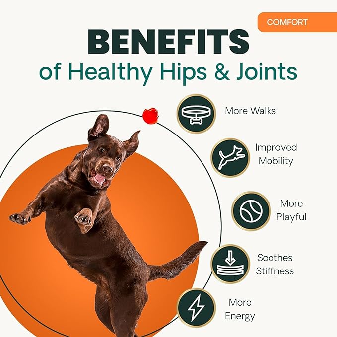 VetriScience Glycoflex 3 Clinically Proven Hip and Joint Supplement for Dogs - Maximum Strength Dog Supplement with Glucosamine, MSM, Green Lipped Mussel & DMG - 2 Pack (120 Chewable Tablets Each)
